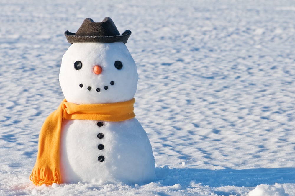 Image on families page of a snowman wearing a hat